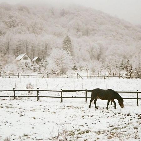 Casuta Boema Villa Rîşnov Luaran gambar