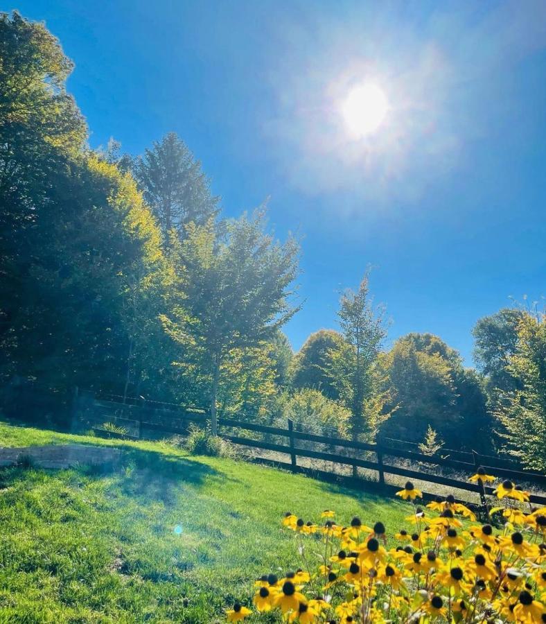 Casuta Boema Villa Rîşnov Luaran gambar