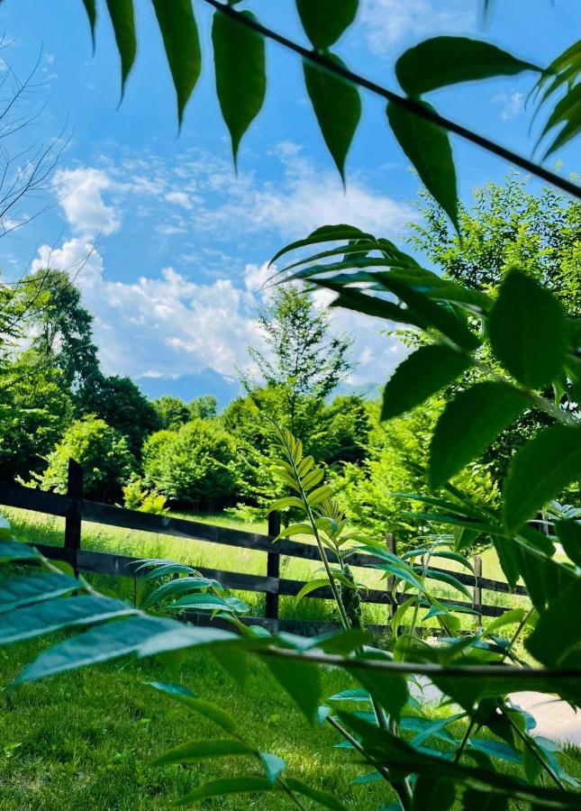 Casuta Boema Villa Rîşnov Luaran gambar