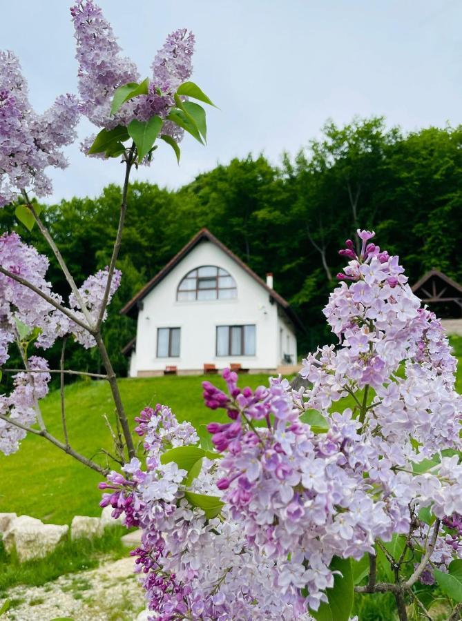 Casuta Boema Villa Rîşnov Luaran gambar